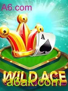 Explorando o Universo de WildAce: Introdução, Descrição e Regras